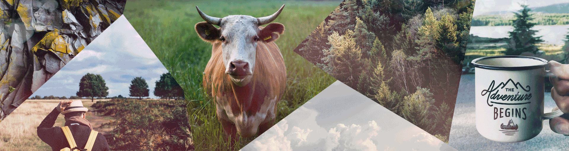 Suedwest Bewegtes Bild des Sauerlands, Wald, Berge, eine Kuh, bewölkter Himmel sind zu sehen