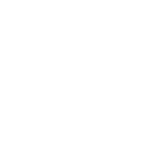 Minimalistisches Logo eines Feuers und weiteren Linien auf transparentem Hintergrund